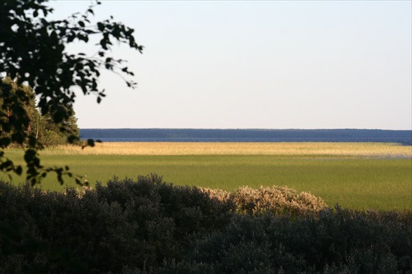 Кожозеро 292